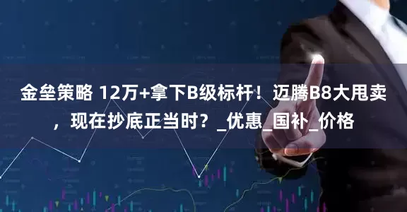 金垒策略 12万+拿下B级标杆！迈腾B8大甩卖，现在抄底正当时？_优惠_国补_价格